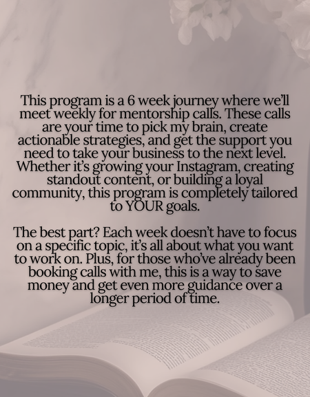 THE INFLUENCE PROJECT (6 WEEK MENTORSHIP)