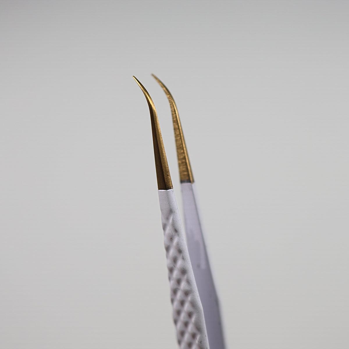 White & Gold: Curved Iso Tweezer