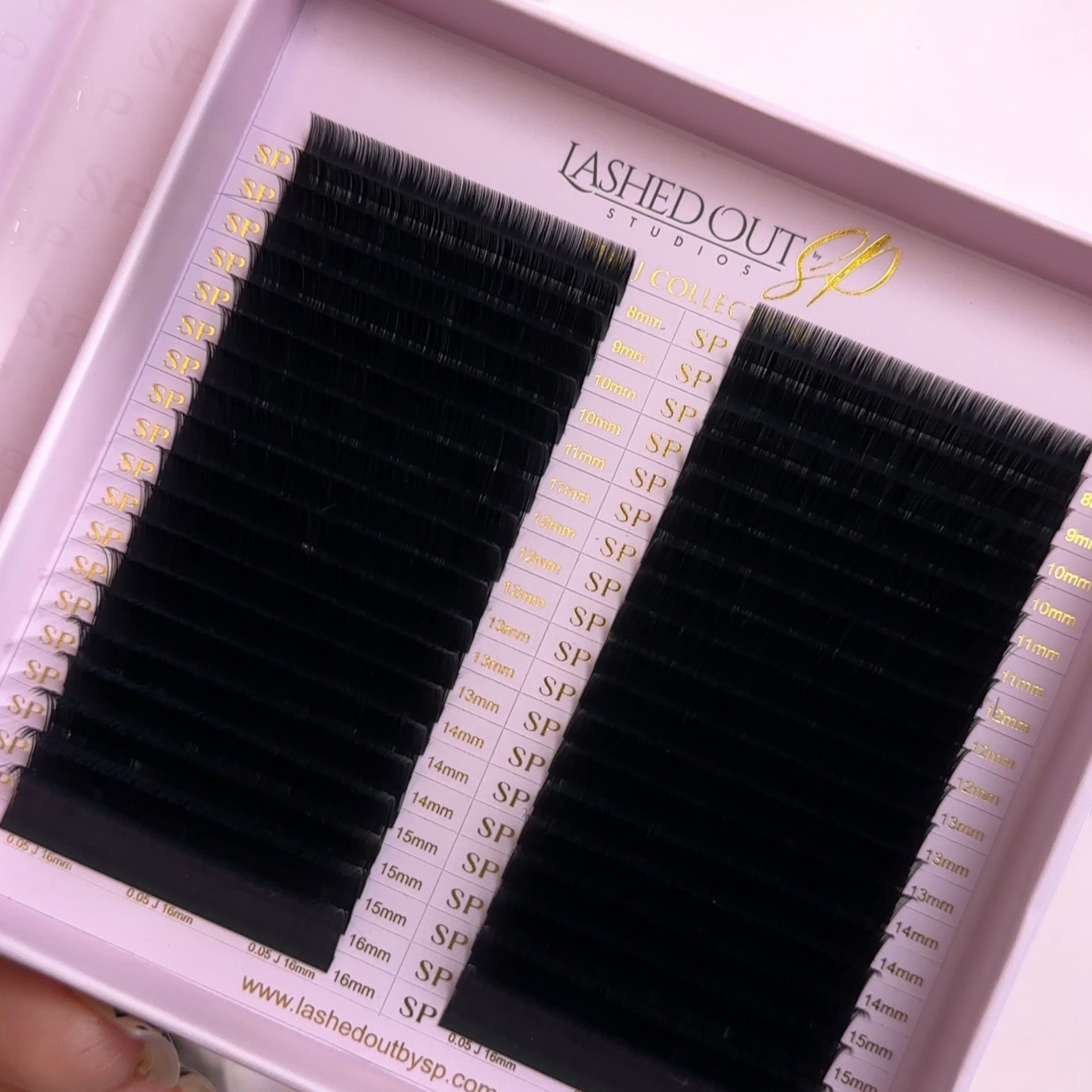 The B Curl Collection 40 Rows