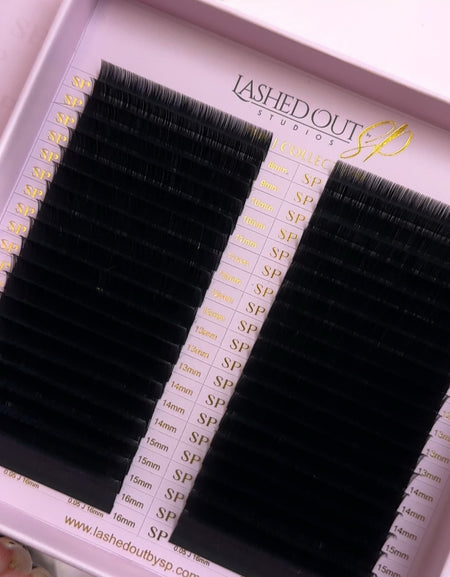 The B Curl Collection 40 Rows